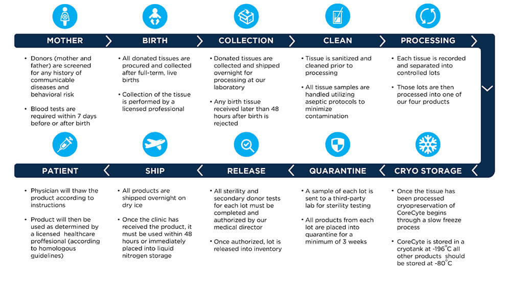 P Shot Stem Cell Process Chart